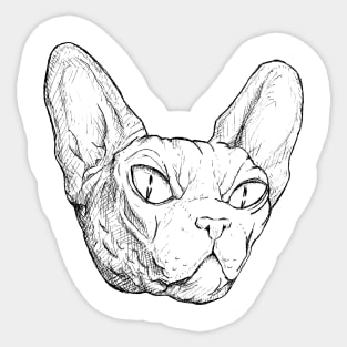 Evil Cat Ink Sketch Sticker